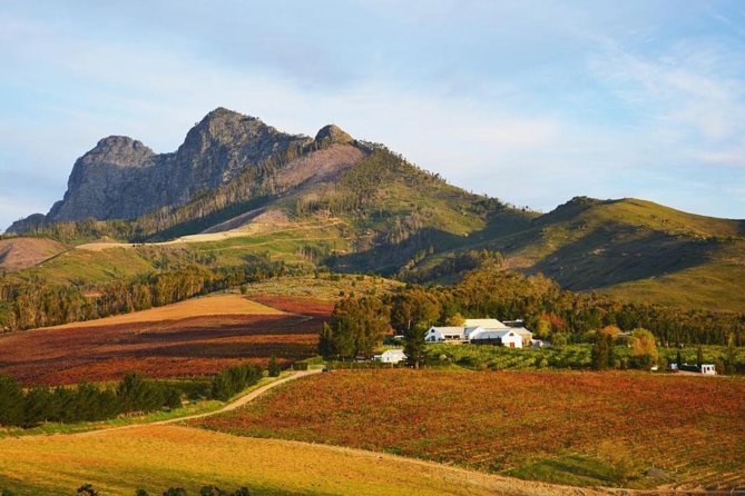 Wine Beer and Biltong Safari - Stellenbosch - No car stress: how the included transfers actually save your day