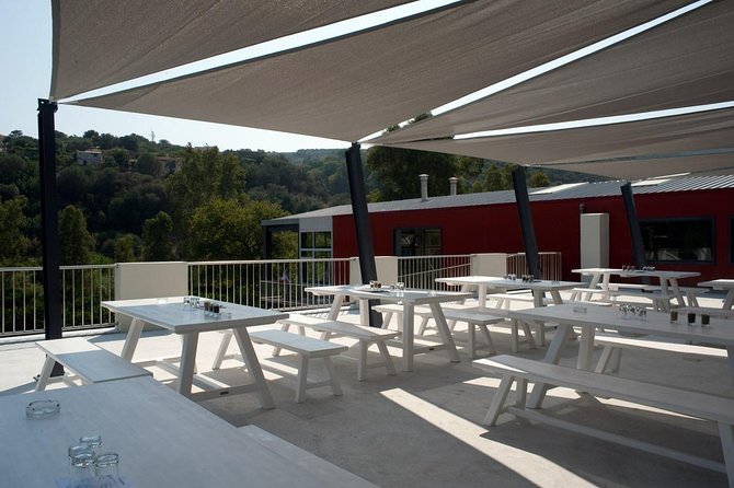Wine, Beer, Olive Oil Tasting Private Tour (price per group of 6) - Lunch Planning: Keep It Simple, Keep It Local