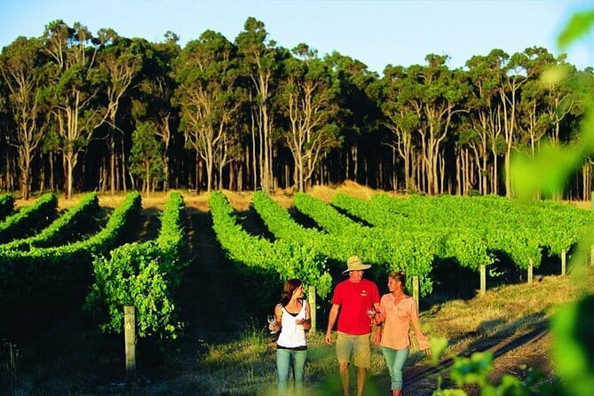Wine, Craft Beer & Restaurant Lunch (Italian-A'la Carte). - The sweet and specialty outlet: chocolate, nougat, or produce