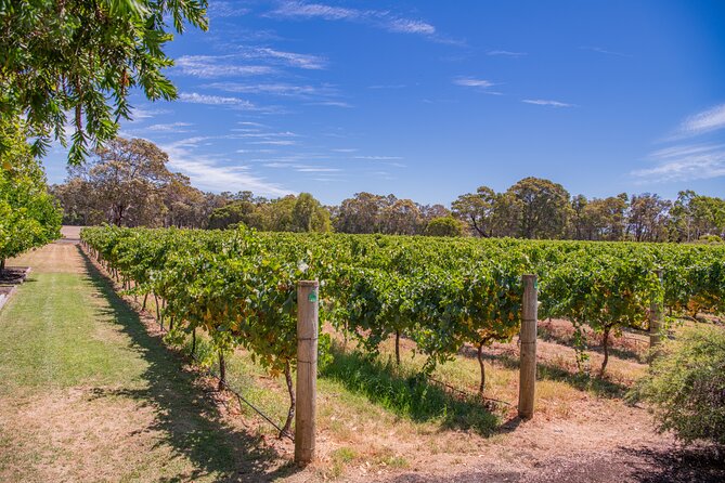 Wine, Craft Beer & Restaurant Lunch (Italian-A'la Carte). - Three wineries in Margaret River: what you’re actually buying