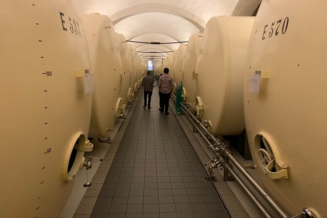 WINE, FOOD & BEER TOUR from Prague to PILSEN - Beer Tasting at the End: What to Smell and Compare