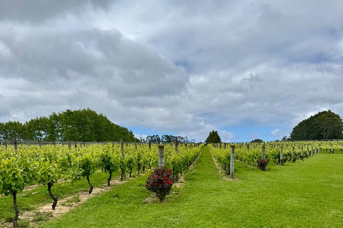 Wineries / Brewery - How to Plan Your 4-Hour Schedule Without Feeling Rushed
