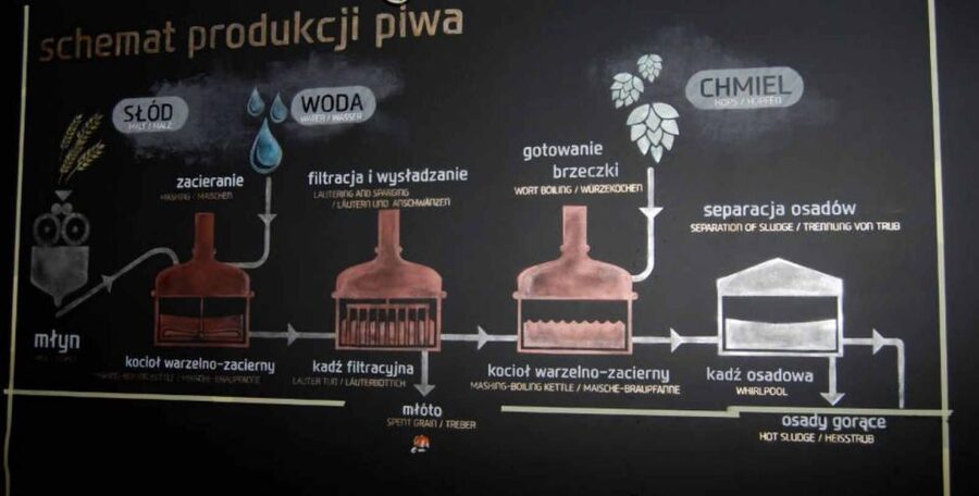 Wroclaw: Guided Tour & Beer Tasting (2 hours) - How the 2 Hours Works on Your Feet (and What to Prioritize)
